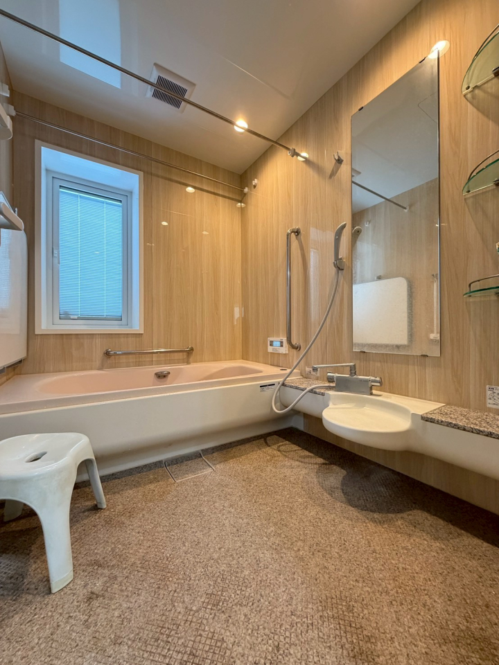 �V�����V���s����P�v�̒��È�ˌ��Ă̗���