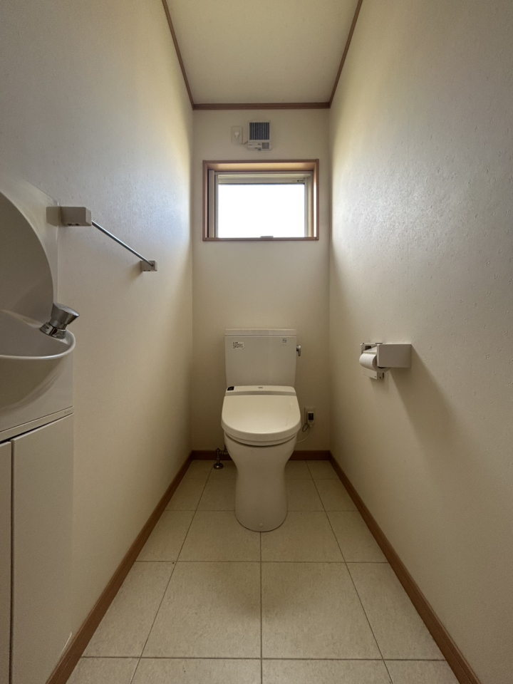 �V�����V���s�]���T�c���z3���ڂ̒��È�ˌ��Ẵg�C��