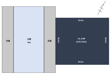 �V�����V���s�k�撩����1���ڂ̓y�n�̉摜