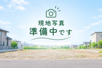 �V�����V���s������_������2���ڂ̓y�n�̉摜