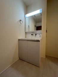 �V�����V���s�H�t��g�����̐V�z��ˌ��Ẳ摜