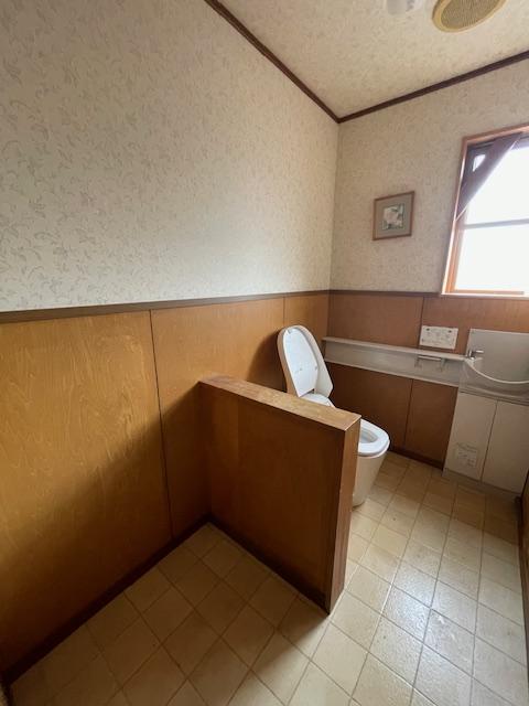 �V�����V���s�H�t����K��2���ڂ̒��È�ˌ��Ẵg�C��
