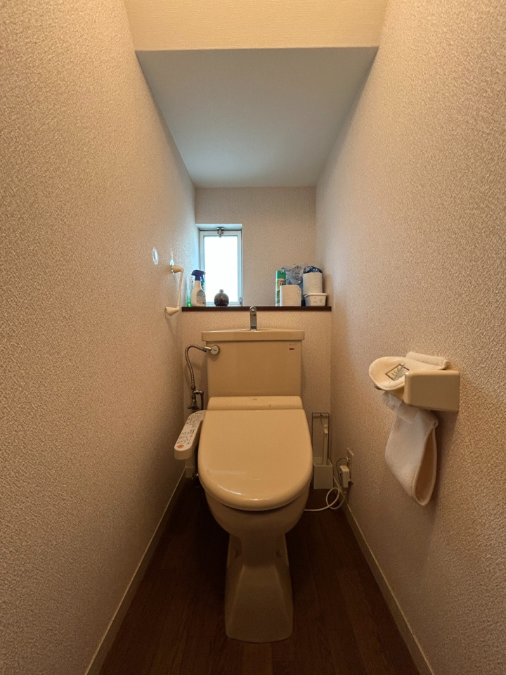 �V�����V���c�s���V��3���ڂ̒��È�ˌ��Ẵg�C��