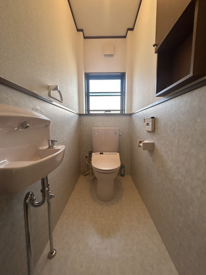 �V�����V���c�s�z�K��3���ڂ̒��È�ˌ��Ẵg�C��